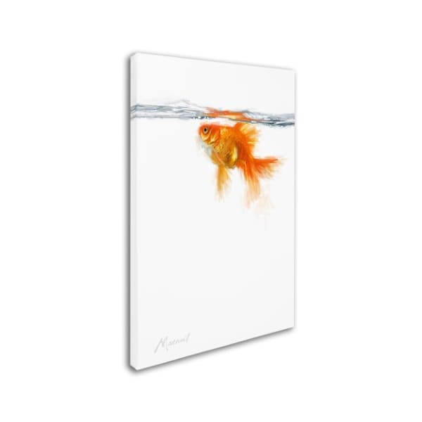 The Macneil Studio 'Goldfish' Canvas Art,16x24